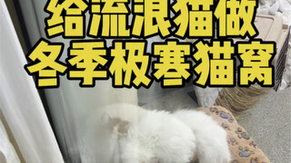 White cats are always discriminated against in the cat community. Let’s build a cold winter cat bed 
