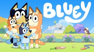 BLUEY 1x08 (LATINO)