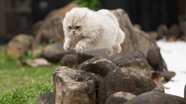 Street photographer strikes again 😎