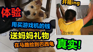体验用买游戏机的钱给妈妈买想要的东西，妈妈却马路上捡到巴西龟，真实！