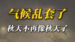 Thời tiết mùa thu năm nay cực kỳ bất thường, không có ngoại lệ nào cả.