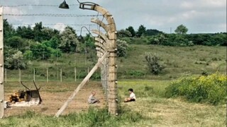 铁丝网背后的悲惨命运