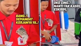 MASYAALLAH..! Ditaruh di Saku Kemeja, Kucing Ini Membuat Petugas Pom Bensin Semangat Bekerja.!