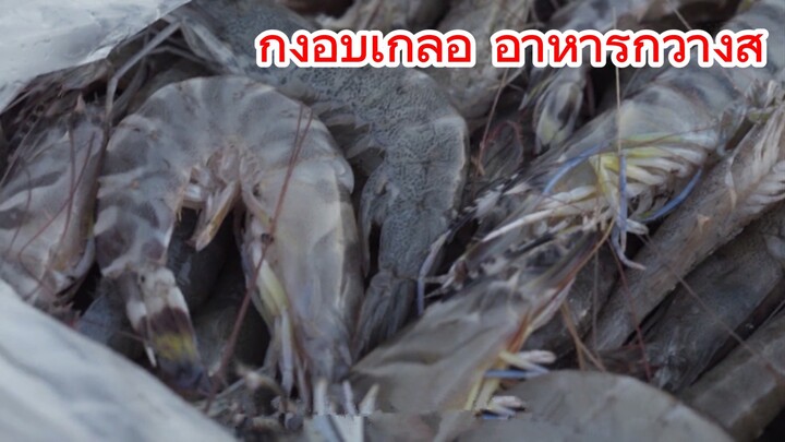 กุ้งอบเกลือ อาหารกวางสี