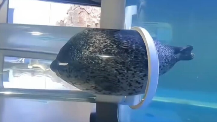 The gas tank got stuck—what a total disaster!