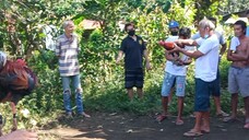 Sa dami ng pinalo, talo. Putol pala ang dulo ng tari
