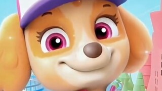 Here’s Paw Patrol chocolate for you!