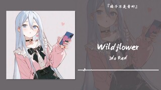 “不好！听着听着就开始幻想甜甜的恋爱了”||《Wildflower》