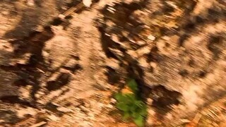 如何远程悄悄实时同步和老公手机屏幕不被发现到(苹果手机丢了怎么办)⏩查询➕微信6435148⏪