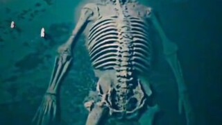 dead body in the sea