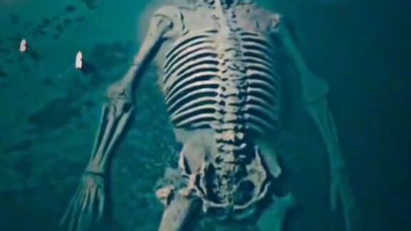 dead body in the sea