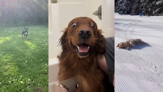 Kebahagiaan dibagi setengah untukmu, itu milikmu