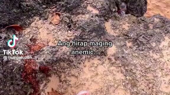tiktok crdts.