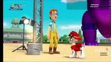 Paw patrol Musim 5 Episode 17 dan 18 Bahasa indonesia Gtv