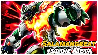 Grosalamander Aka Salamangreat Ist Die Neue Meta || Yu-Gi-Oh Duel Links