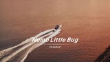 ขับร้องเนื้อเพลงเศร้าๆ ในเพลง “Numb Little Bug” ด้วยเสียงที่ชัดเจน