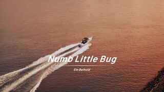 Menyanyikan lirik menyedihkan dalam "Numb Little Bug" dengan suara yang jernih