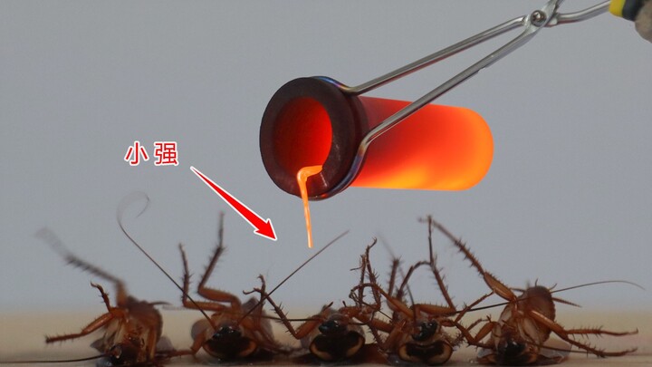 Thí nghiệm: Điều gì sẽ xảy ra nếu đổ “nước muối lỏng” ở 1150℃ lên người “Tiểu Cường”?