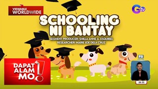 Dog training school sa Ilocos, silipin | Dapat Alam Mo!