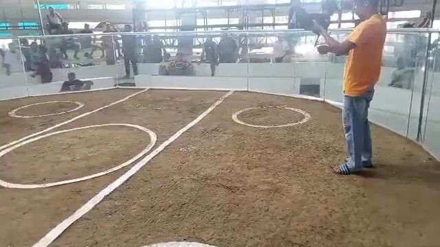 CampCavalierCockpit.             1st fight win