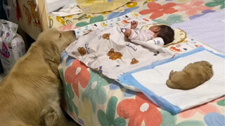 Con gái duy nhất của tôi chưa bao giờ nhận được tình yêu thương của mẹ kể từ khi sinh ra 😂 Bị bỏ rơi