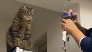 بدوني، هذا المنزل سينفرط عاجلاً أم آجلاً!