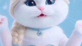 kucing Imut banget 😍