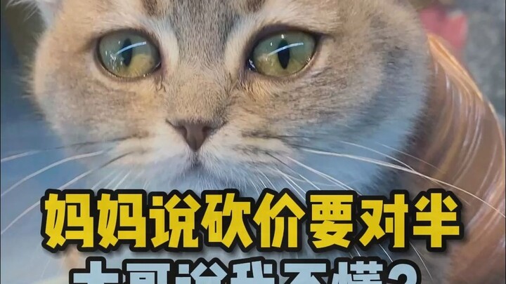 Anh cả lại bảo tôi không hiểu gì?