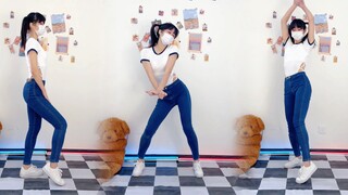 Peningkatan intensitas versi jingle-dang-dang double ponytail memantul