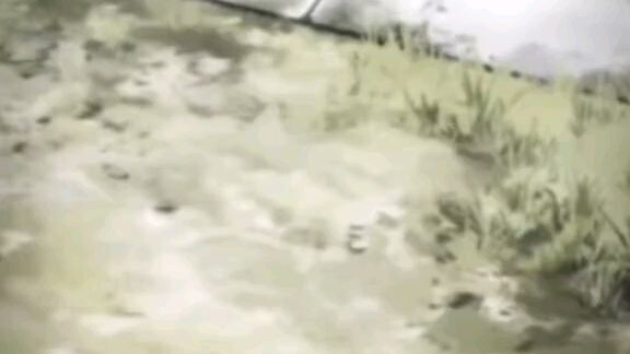 tình trị kì thật đầy màu sắc 🙂‍↕️💛💙