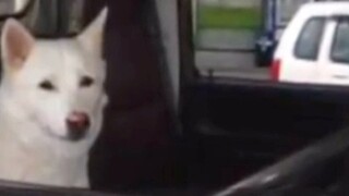 Karena kesalahan dalam foto sutradara, penyiar mengalami salah satu dari sepuluh penyiksaan umat man