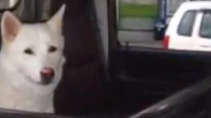 Karena kesalahan dalam foto sutradara, penyiar mengalami salah satu dari sepuluh penyiksaan umat man