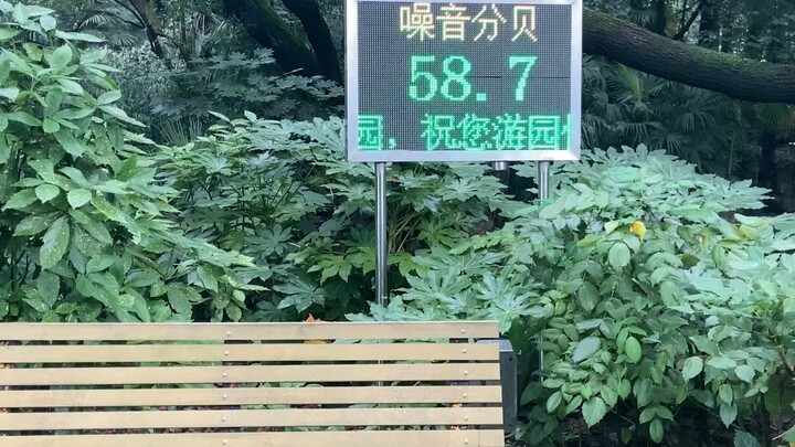 一些奇怪行为
