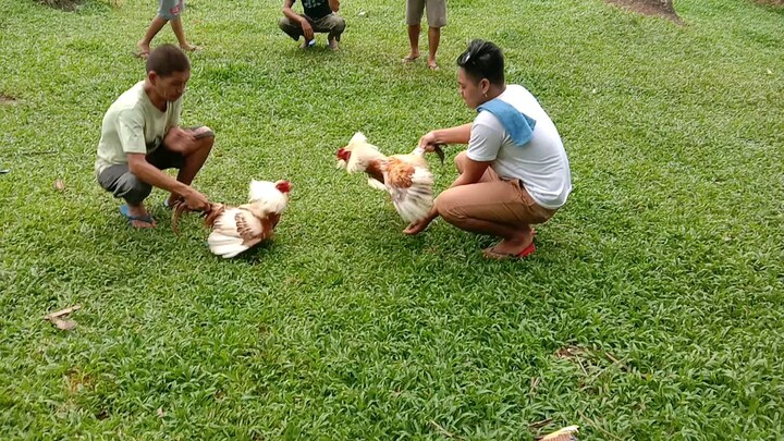 oriental loss,.buhay sana kaso di tumuka.,patay ung kalaban.