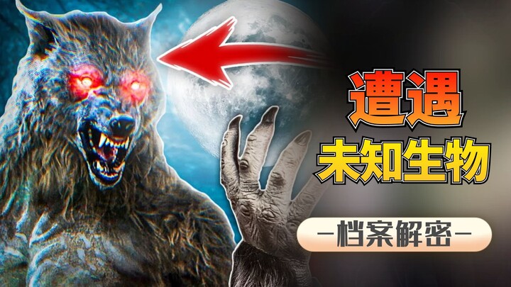 Four Mysterious Creatures: A 2-Meter-Tall Fierce Werewolf, a Giant Canine That Hunted British Soldie