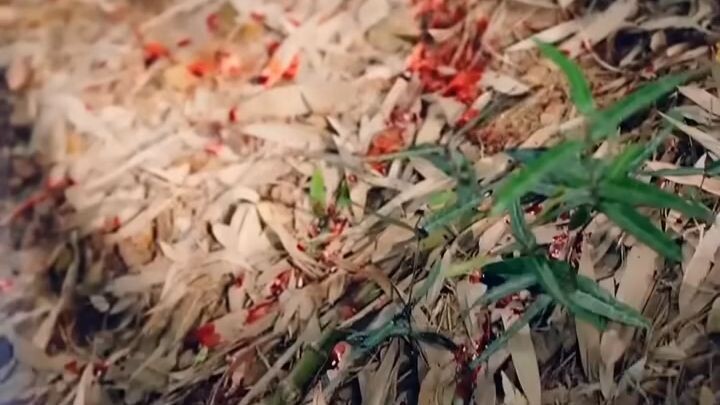 🎬ตามหัวหัวใจCEOพันล้าน 🗣พากย์ไทย (เต็มเรื่อง)