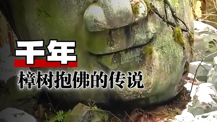 Is it permissible to pay homage to these Buddha statues in the wild?