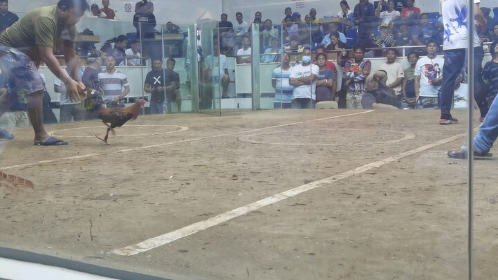 San juan coliseum 2 hits 2nd win  champion june 12, 2025