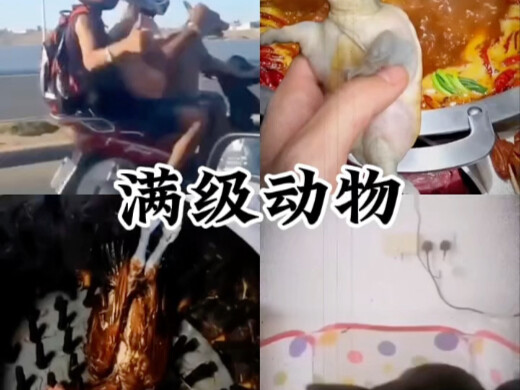 【Kẹo Đậu Cười Vỡ Bụng】Video mới nhất đã lên sóng, mau xem ngay nào!