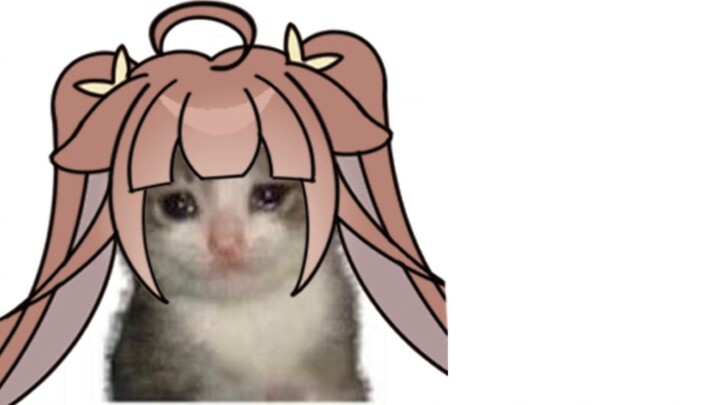 Croissant cat, but Shanghai hamburger