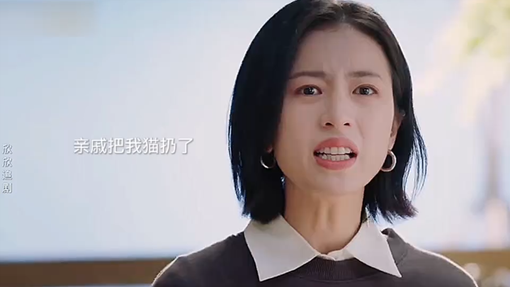 Họ hàng đến ở nhờ nhà bạn rồi ném con mèo của bạn đi, bạn sẽ làm gì?