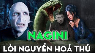 NAGINI - Giải Mã Bí Ẩn Thú Cưng Của Voldemort | Harry Potter Series