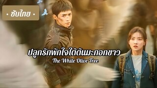 Ep 29