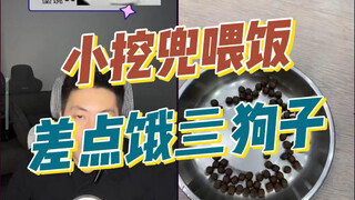 Di kolom komentar, mari kita nilai border collie-nya dan lihat seberapa bagus penampilan anjingmu!