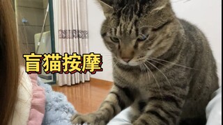 The first time I went to a cat massage parlor, I was harassed by cat technician No. 35