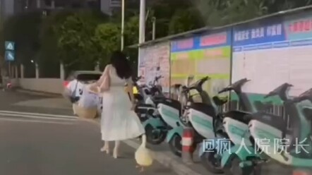 Ini kan memang itik Kelo yang sedang berwisata~ "Itik Kelo" Tak Menyangka sama Sekali "Penghargaan K