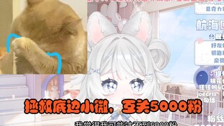 拯救底边小V，互关5000粉