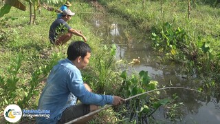 Câu CÁ RÔ PHI Kiểu Này "SAO MÀ ĂN HẾT" Hội Ngộ Miền Tây - Tập 577