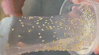 越奇怪的玩意 我越爱……