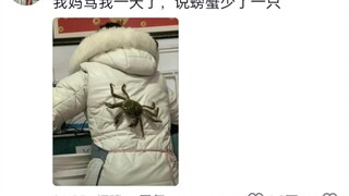 《大学生放假在家现状》又名《大学生回家挨骂的理由》